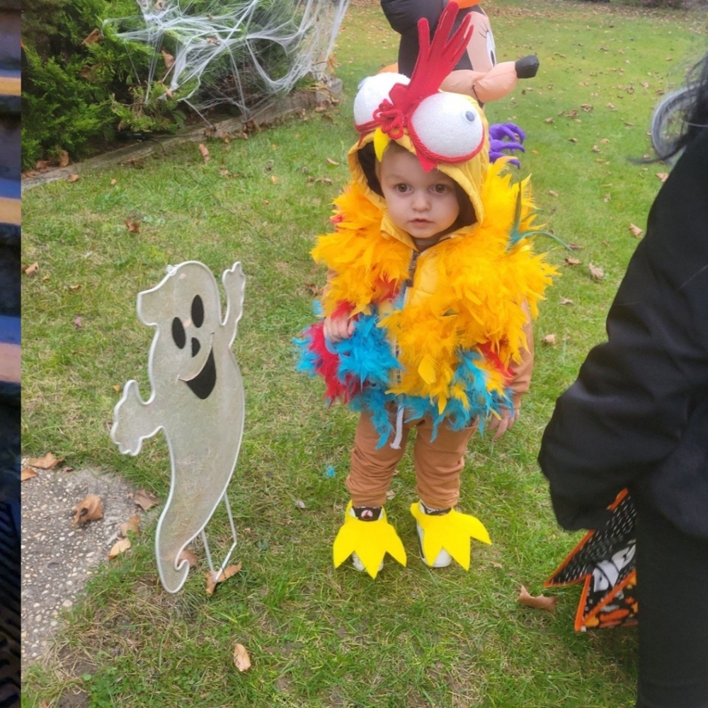 Hei Hei / Rooster Costume 2T/3T